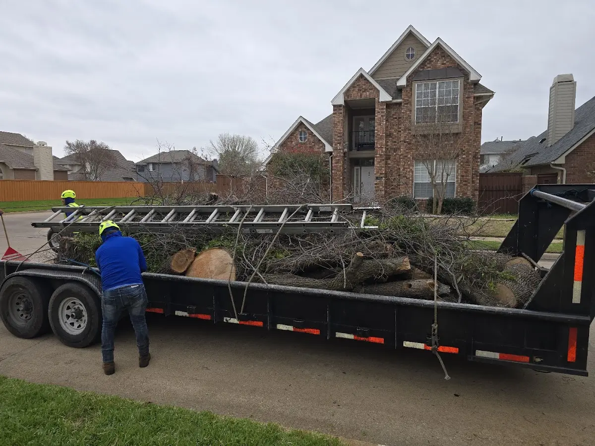 Expert Tree Removal with proper safety equipment in Grinnell